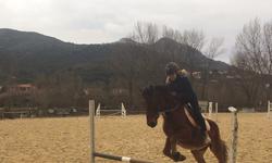 4eme equitation 2
